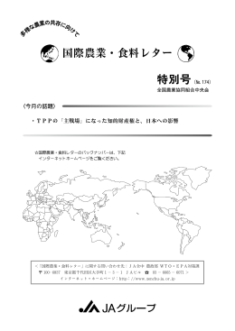 「主戦場」になった知的財産権と、日本への影響（PDF）