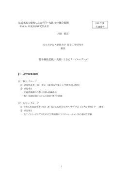 電子線励起微小光源による光ナノイメージング