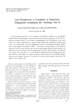 Acid Phosphatases in Cotyledons of Buckwheat