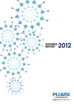 BUSINESS REPORT 2012