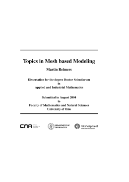 Topics in Mesh based Modeling