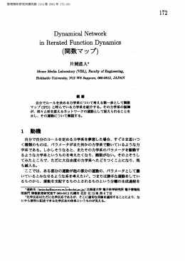 Dynamical Network in Iterated Function Dynamics (関数マップ) 172