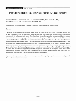 Fibromyxoma of the Petrous Bone: A Case Report