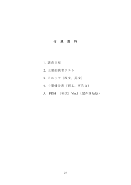 4. 中間報告書（西文 - JICA報告書PDF版(JICA Report PDF)