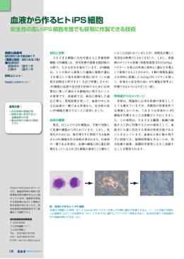 血液から作るヒトiPS細胞 [ PDF：926KB ]