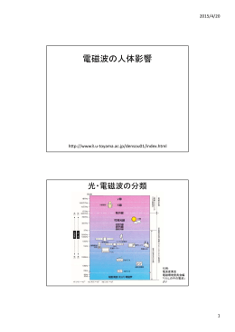 （電磁波の人体影響）(PDF in Japanese)