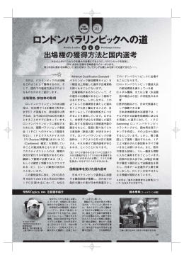 出場権の獲得方法と国内選考 - 一般社団法人 日本身体障がい者水泳連盟