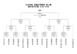 2015年度 首都大学野球 新人戦 組み合わせ表 8