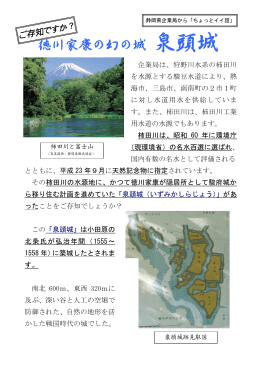 徳川家康の幻の城「泉頭城」（PDF：734KB）
