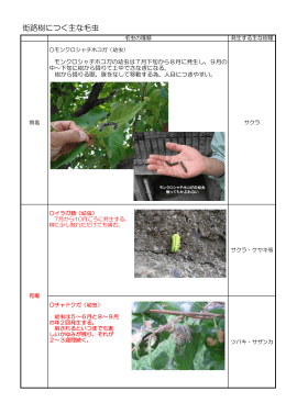 街路樹につく主な毛虫（PDF：157KB）