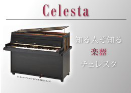 知る人ぞ知る 楽器 チェレスタ - Schiedmayer Celesta GmbH