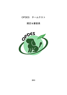 OPDES チームテスト 規定＆審査表