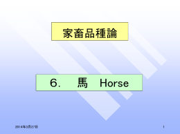 6． 馬 Horse