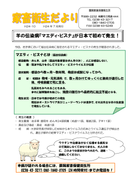 羊の伝染病『マエディ・ビスナ』が日本で初めて発生！