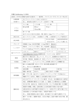 昇鷹伝kickboxing大会規約（PDFファイル）