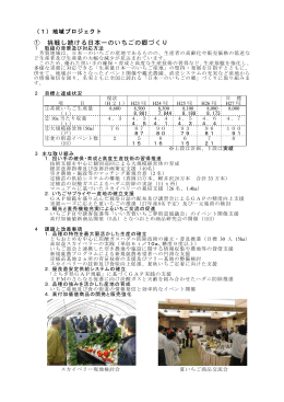 プロジェクト1 挑戦し続ける日本一のいちごの郷づくりプロジェクト（PDF
