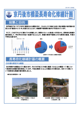 京丹後市橋梁長寿命化修繕計画（平成27年3月作成）（PDF：1216KB）