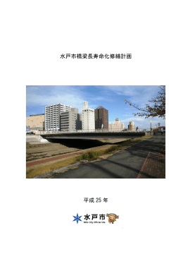 水戸市橋梁長寿命化修繕計画（PDF形式 1248キロバイト）
