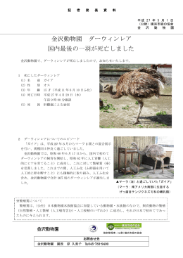 金沢動物園 ダーウィンレア 国内最後の一羽が死亡しました