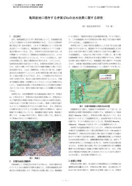亀岡盆地に現存する伊賀ばねの治水効果に関する研究