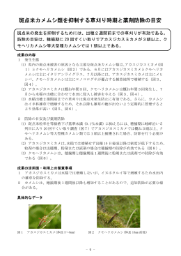 斑点米カメムシ類を抑制する草刈り時期と薬剤防除の目安