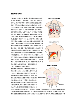腹腔鏡下肝切除術 肝臓は肋骨に囲まれた臓器で、通常体の表面から