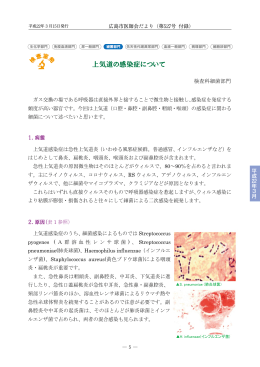 上気道の感染症について - 一般社団法人 広島市医師会臨床検査センター