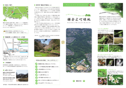 鎌倉広町緑地 - 鎌倉の公園