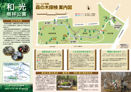 森の木探検マップ