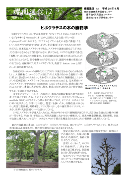 ヒポクラテスの木の植物学 - 地方独立行政法人 東京都健康長寿医療