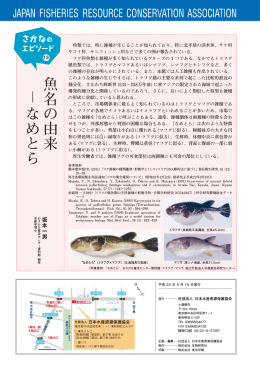 魚名の由来 なめとら - 日本水産資源保護協会