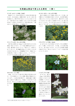 銀山周辺で見られる草花 [ PDF 1.9MB]