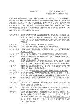 竹のいろいろ 平成 24 年 4 月 12 日 千葉県森林インストラクター会 日本