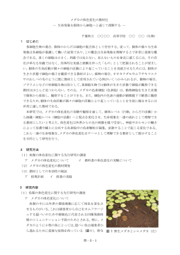 5－1 メダカの体色変化の教材化 - 千葉県学校教育情報ネットワーク