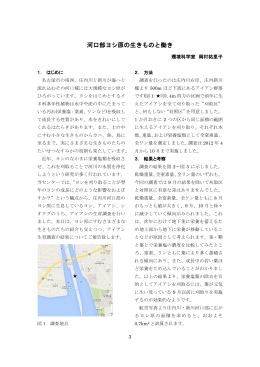 河口部ヨシ原の生きものと働き (PDF形式, 507.97KB)