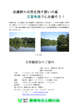武蔵野の自然を残す憩いの場 三宝寺池 で心を癒そう！