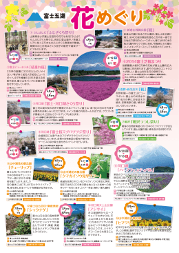 2014富士五湖花めぐり