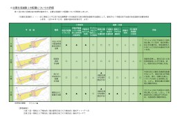 東側エリアの主要生活道路1の配置計画の評価（PDF・451KB）