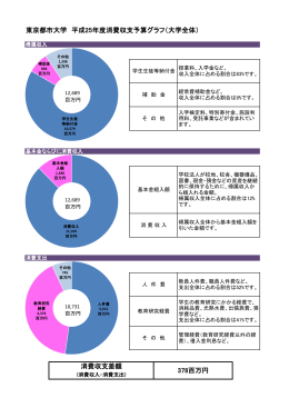 東京都市大学 平成25年度消費収支予算グラフ（大学全体） 消費収支