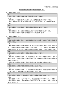 補助事業Q＆A(PDF文書)