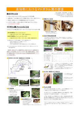 e149. 高知県におけるマドボタル属の調査