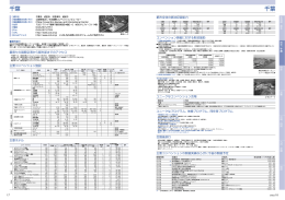 千葉市の公的支援と施設ガイド (PDF/697KB)