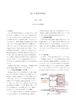 塩の工業用途と製品