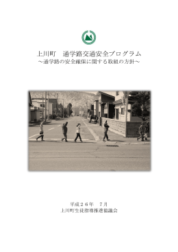 上川町通学路交通安全プログラム (PDF 771KB)