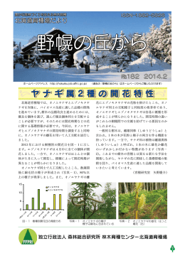 野幌の丘から-No.182（PDF：1025KB）