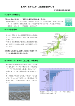 東よか干潟のラムサール条約登録について【 PDFファイル