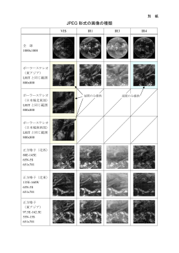 JPEG 形式の画像の種類