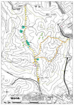 2010年度版 龍谷の森地図ルート番号付き縦（PDF 15.4MB）