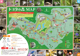トヨタの森 MAP