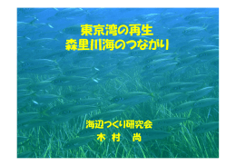 東京湾の再生（森里川海のつながり）（PDF形式：145KB）